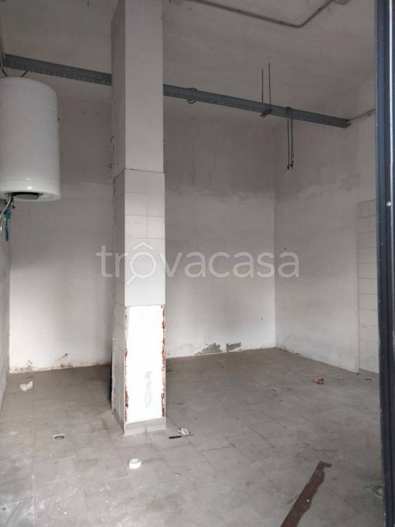 immagine annuncio 10 di 14