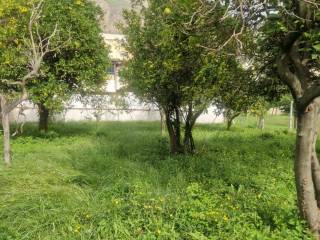 Terreno agricolo in vendita a napoli via filippo bottazzi