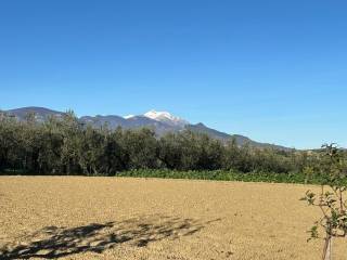 Terreno residenziale in vendita a nocciano contrada collina, 99