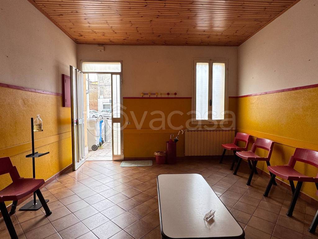 immagine annuncio 1 di 14