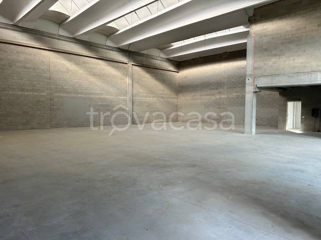 immagine annuncio 7 di 9