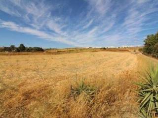 Terreno agricolo in vendita a san nicolò gerrei 