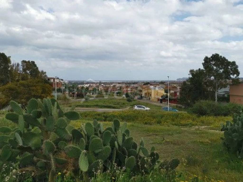 immagine annuncio 4 di 6