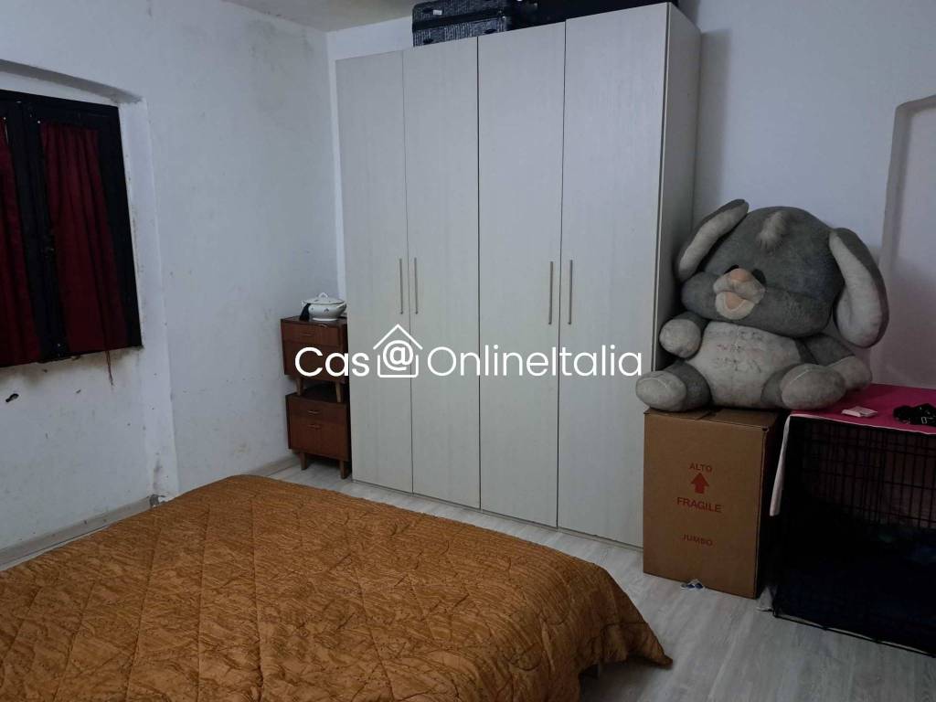 immagine annuncio 9 di 14