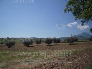 Terreno agricolo all'asta a civitella del tronto frazione di s. reparata, 64010 civitella del tronto te, italia