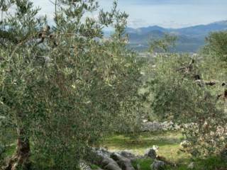 Terreno agricolo all'asta a sonnino via monte della pietà