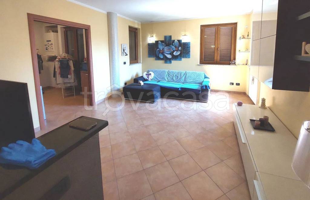 immagine annuncio 8 di 15