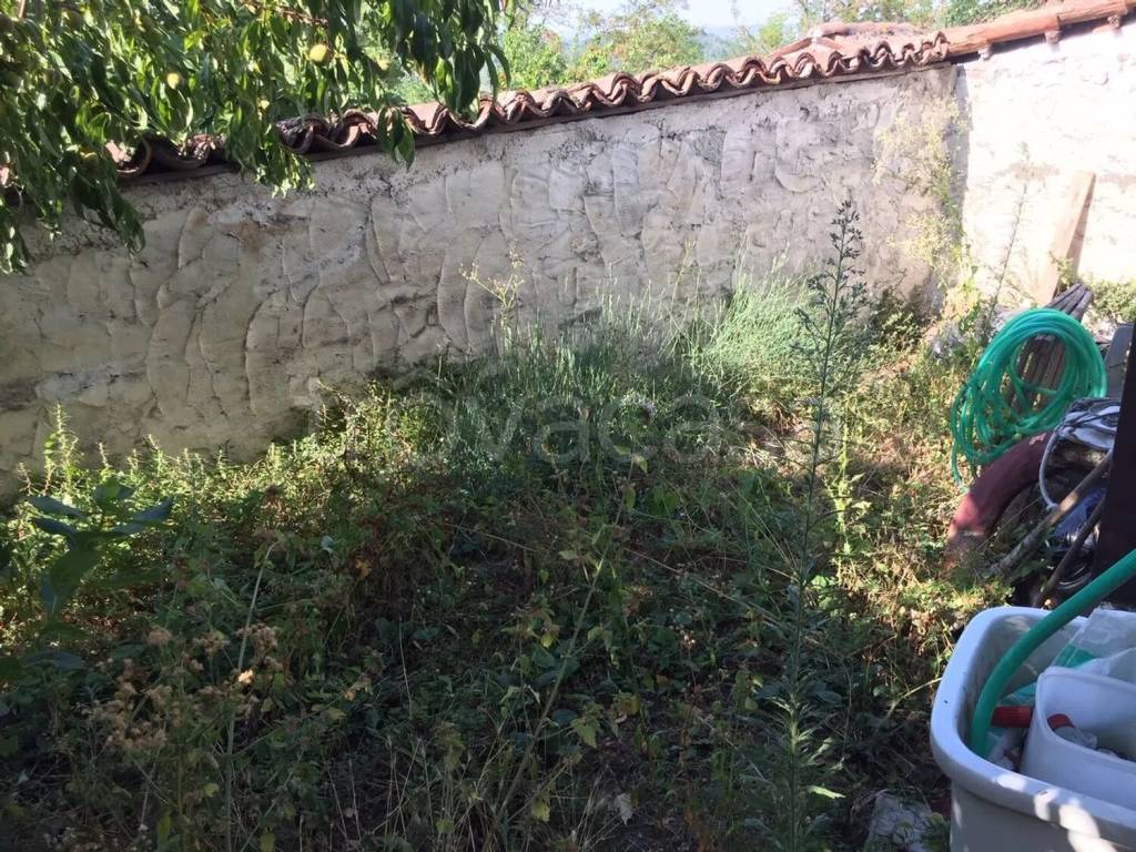 immagine annuncio 5 di 7