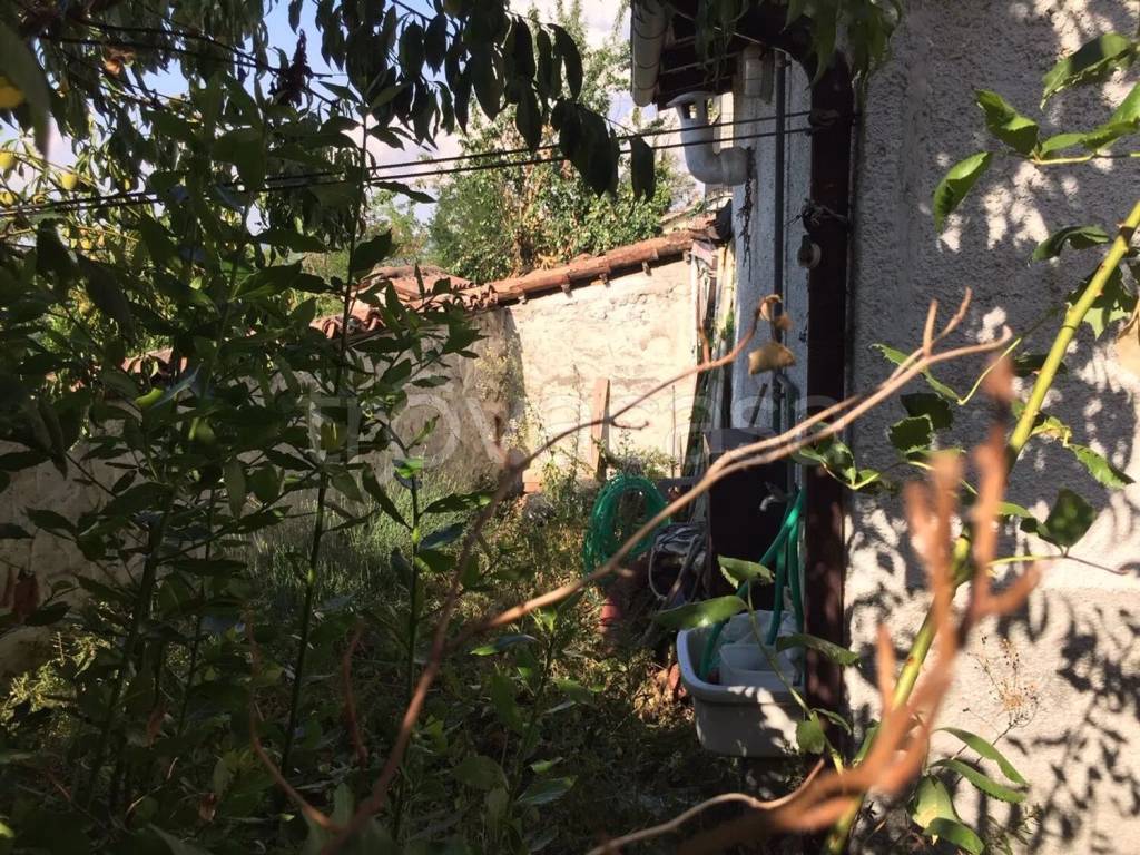 immagine annuncio 4 di 7