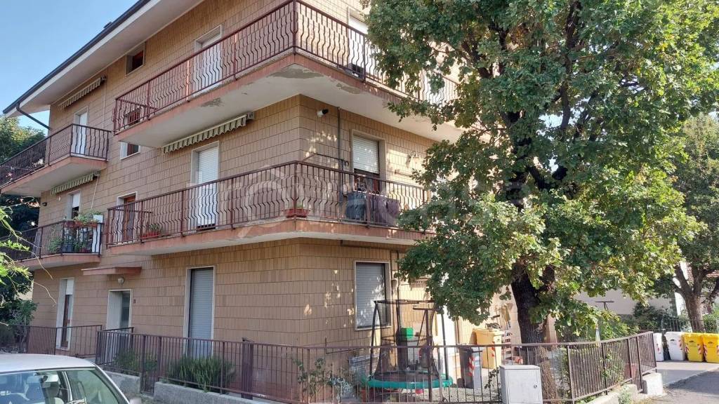 immagine annuncio 12 di 13