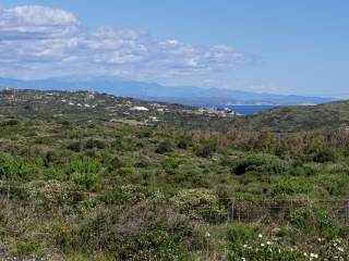 Terreno agricolo in vendita a santa teresa gallura capizza di vacca