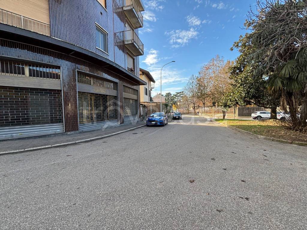 immagine annuncio 2 di 12