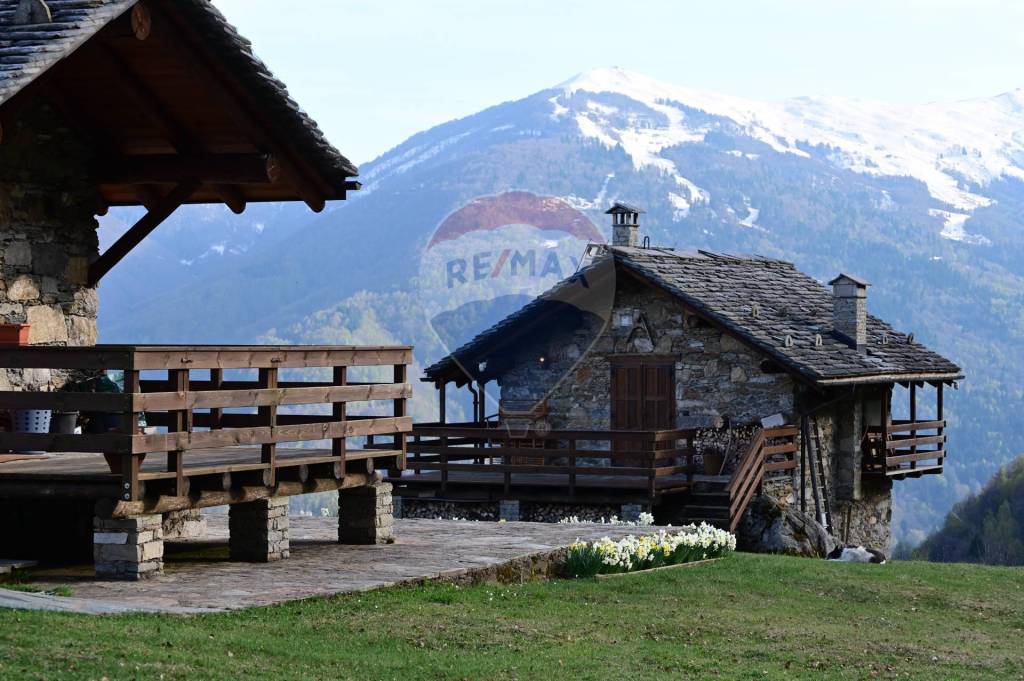 immagine annuncio 12 di 15