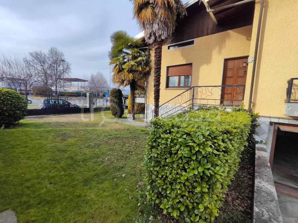 immagine annuncio 10 di 15