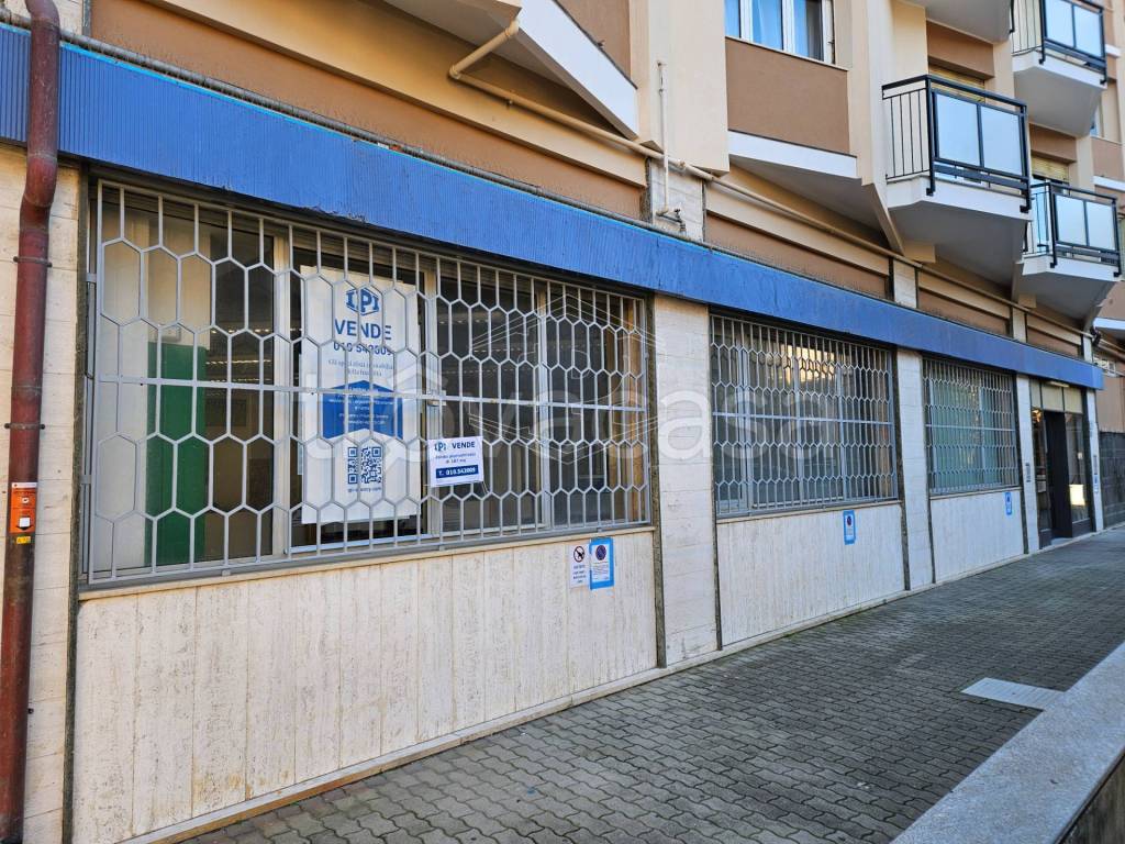 immagine annuncio 3 di 11