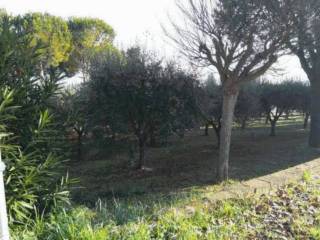 Terreno residenziale all'asta a sant'elpidio a mare strada sapienza