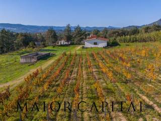 Terreno agricolo in vendita a oliena ss129