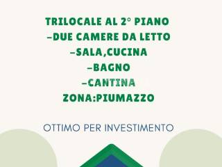 Appartamento in vendita a castelfranco emilia via dei mille 165