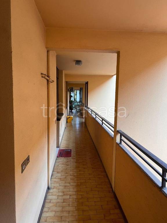 immagine annuncio 5 di 7