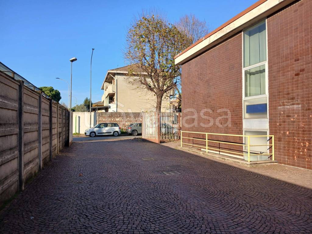 immagine annuncio 9 di 15
