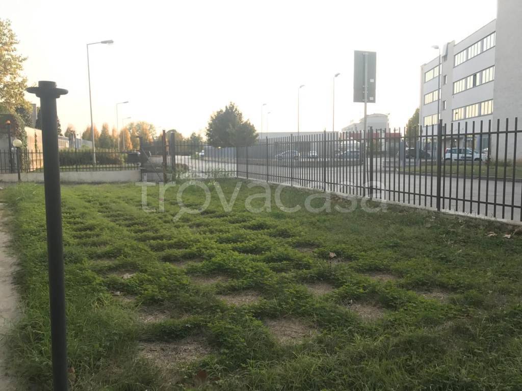 immagine annuncio 5 di 15