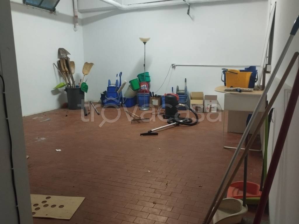 immagine annuncio 6 di 14