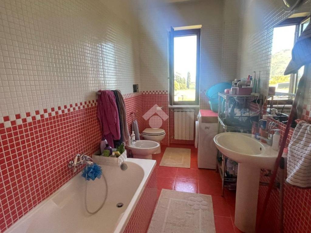 immagine annuncio 9 di 12