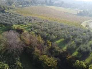 Terreno agricolo all'asta a montemurlo via cicignano