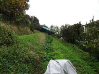 Terreno agricolo all'asta a bagnatica via antonio locatelli