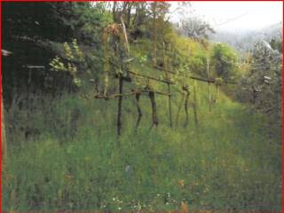 Terreno agricolo all'asta a provaglio d'iseo -, provaglio d`iseo (bs) ; -, provaglio d`iseo, bs,