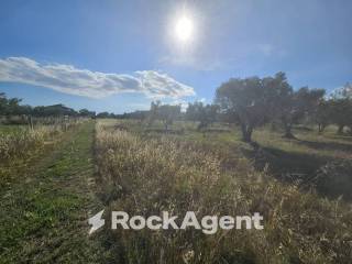 Terreno commerciale in vendita a sellia marina località sena