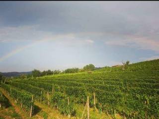 Terreno agricolo in vendita a dogliani strada provinciale delle langhe