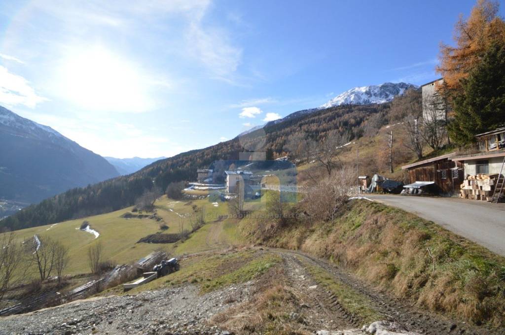 immagine annuncio 10 di 11