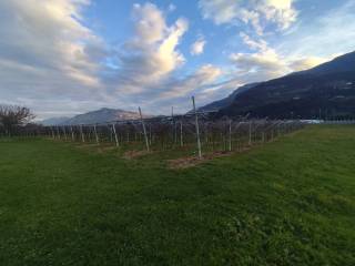 Terreno agricolo in vendita a trento tangenziale sud