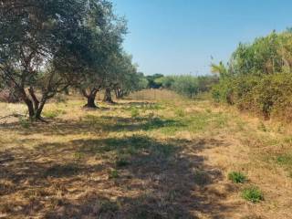 Terreno agricolo all'asta a frascati via di santa croce