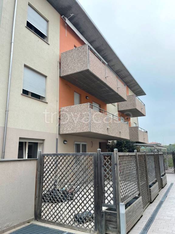 immagine annuncio 3 di 12