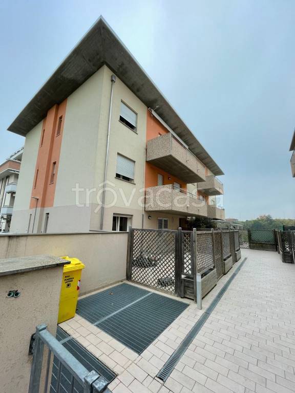 immagine annuncio 4 di 12