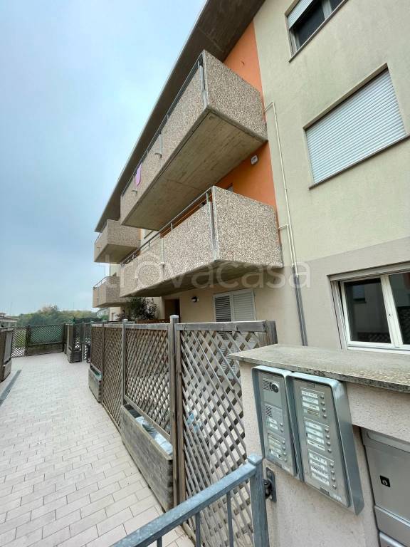 immagine annuncio 5 di 12