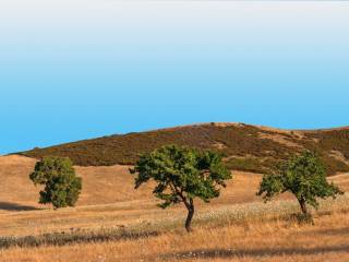 Terreno agricolo in vendita a serdiana strada comunale serdiana dolianova, 2