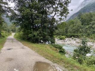 Terreno agricolo all'asta a campertogno campertogno