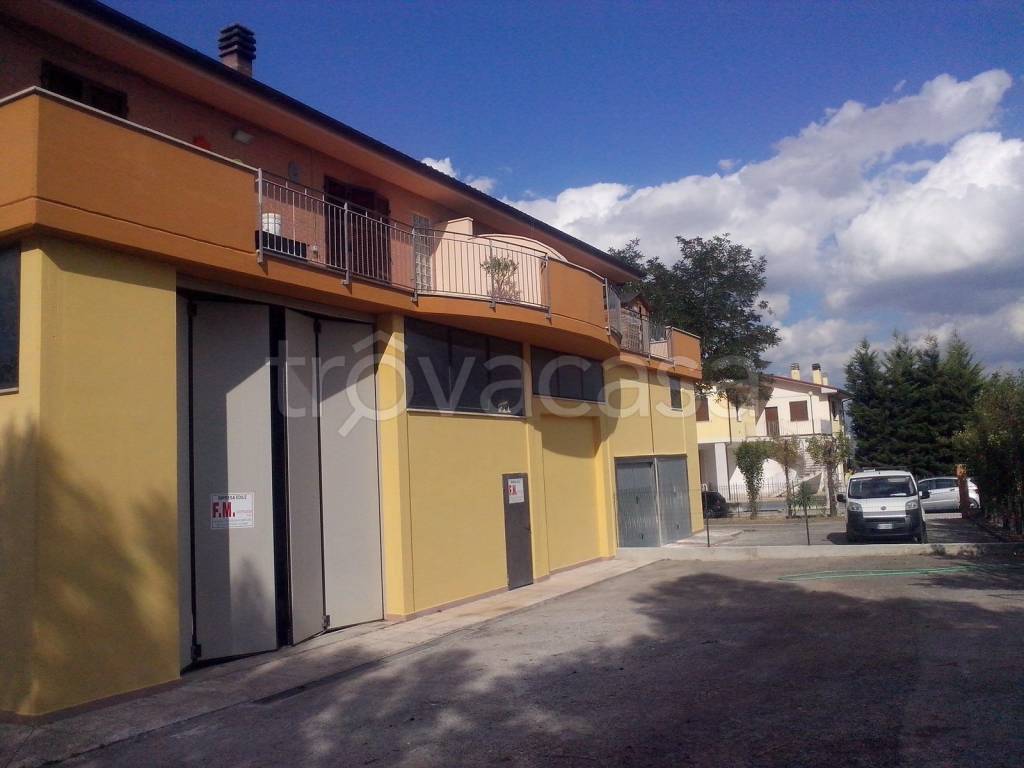 immagine annuncio 2 di 11