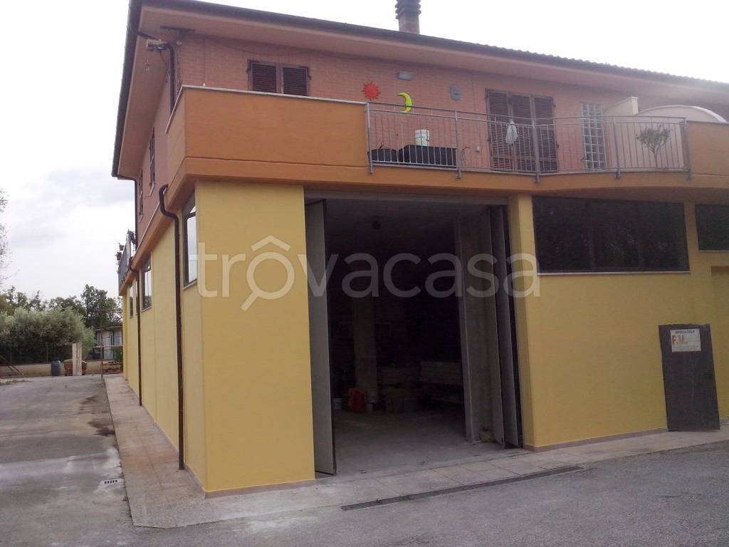 immagine annuncio 5 di 11