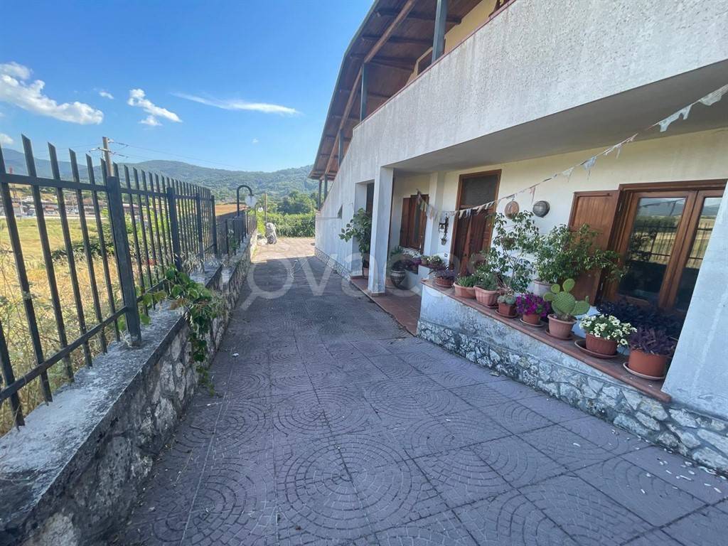 immagine annuncio 11 di 13