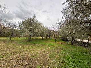 Terreno agricolo in vendita a giffoni valle piana via colle della maddalena