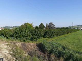 Terreno agricolo in vendita a canelli 