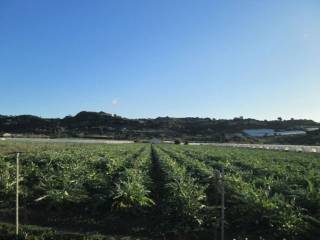 Terreno agricolo in vendita a licata via campobello 11 s.n.c.