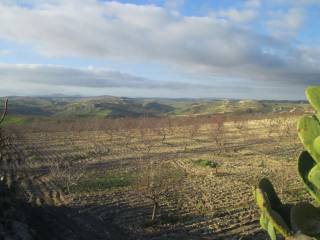 Terreno agricolo in vendita a licata contrada paaasrello