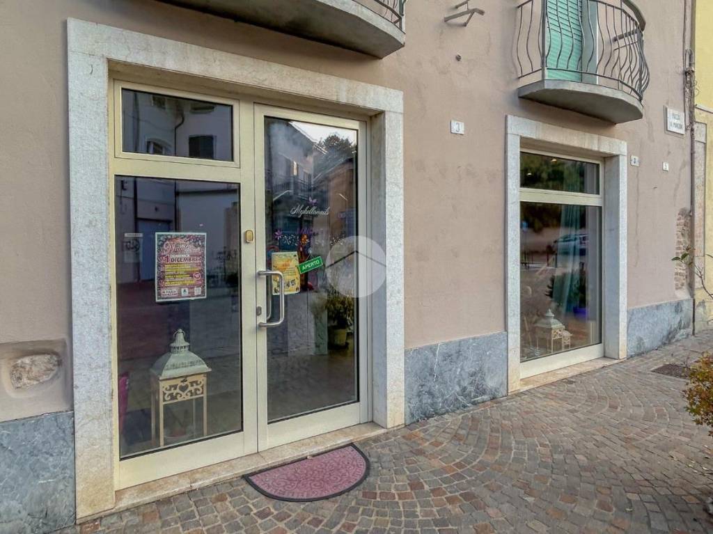 immagine annuncio 6 di 11
