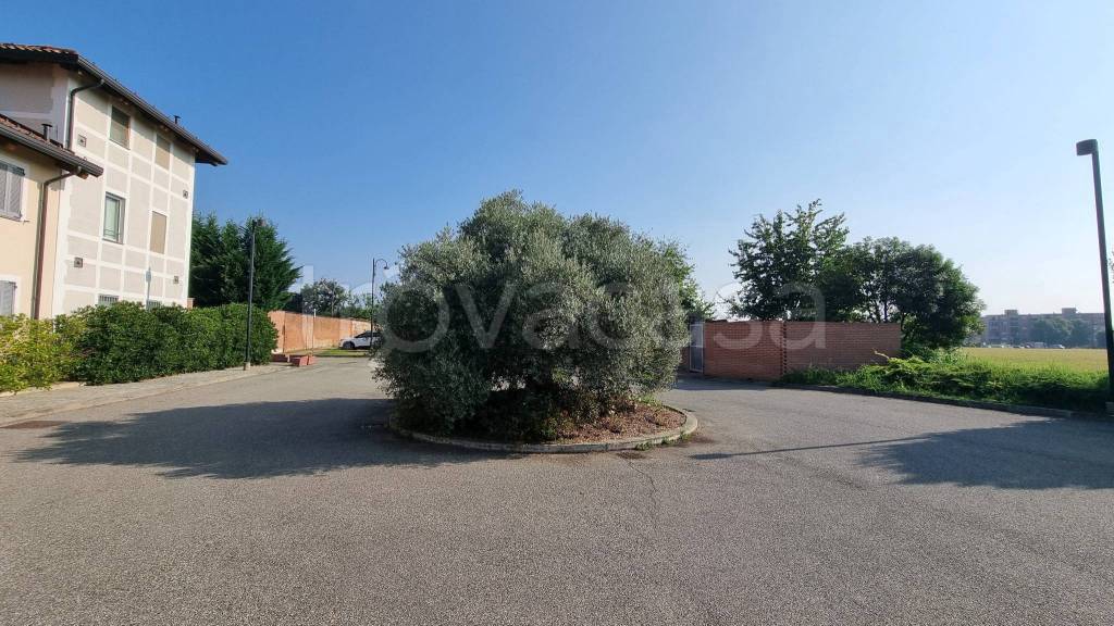 immagine annuncio 7 di 15