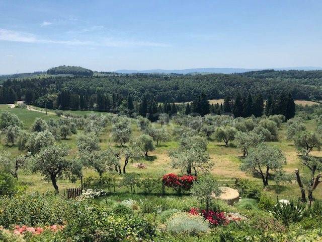 immagine annuncio 4 di 6